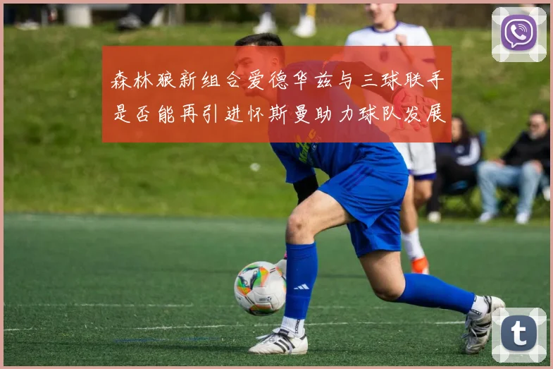 森林狼新组合爱德华兹与三球联手是否能再引进怀斯曼助力球队发展